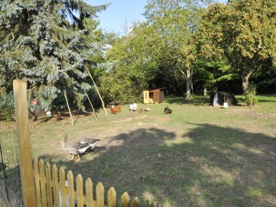 Holiday apartment A Deubert-Gehrmann - Outdoor photo 9