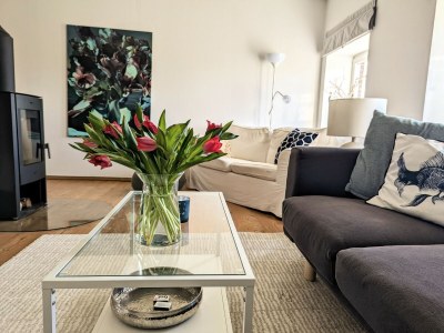 Holiday house Swanen Hus - Features photo 8