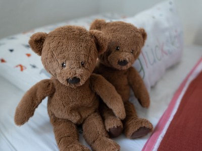 Holiday house Swanen Hus - Features photo 25