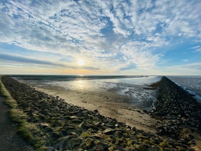 Holiday house Swanen Hus - Environment photo 30