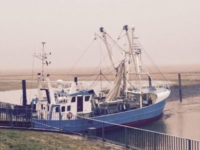 Holiday house Swanen Hus - Environment photo 34