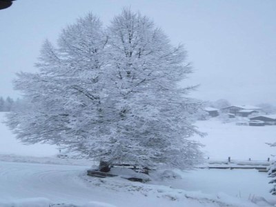 Holiday house Chalet in Niedernsill nahe Skipisten - Environment photo 31