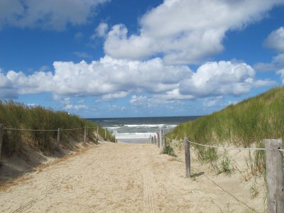 Bungalow Strandliebe Holiday Park 't Luwe Land - Environment photo 27