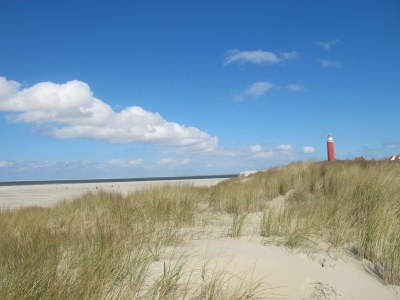 Bungalow Strandliebe Holiday Park 't Luwe Land - Environment photo 28