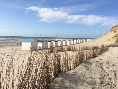 Bungalow Strandliebe Holiday Park 't Luwe Land - Environment photo 29