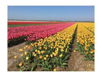 Bungalow Strandliebe Holiday Park 't Luwe Land - Environment photo 30