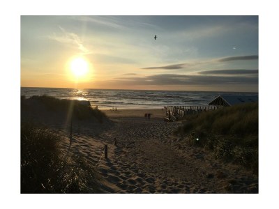 Bungalow Strandliebe Holiday Park 't Luwe Land - Environment photo 36