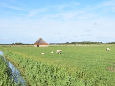 Bungalow Strandliebe Holiday Park 't Luwe Land - Document photo 45