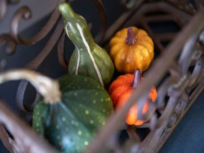 Holiday house Ferienhaus mit offener Küche - Outdoor photo 31