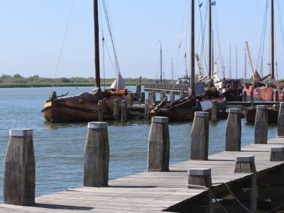 Holiday house Melkstaartje - Environment photo 21