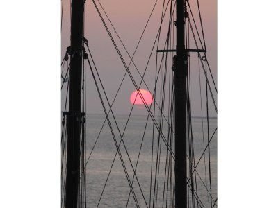 Holiday house Melkstaartje - Environment photo 24