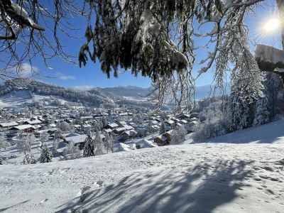 Holiday apartment Orchidee - Environment photo 19