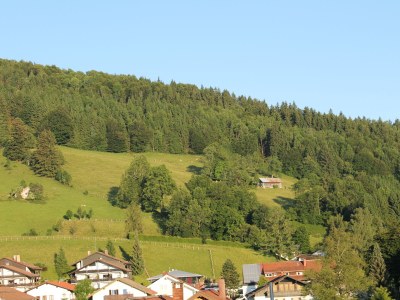 Holiday apartment Orchidee - Environment photo 26