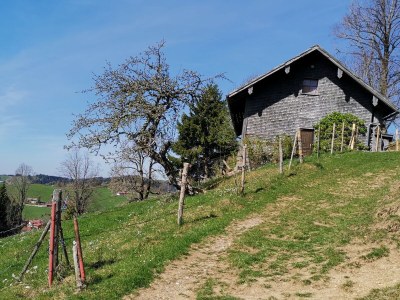 Holiday apartment Orchidee - Environment photo 30
