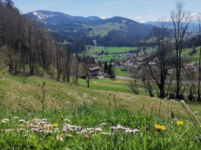 Holiday apartment Orchidee - Environment photo 38