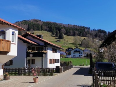 Holiday apartment Orchidee - Environment photo 39