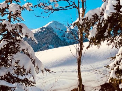 Chalet Chalet in Saalbach near Ski Lift and Sauna - Environment photo 30