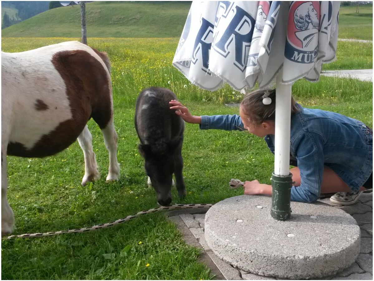 Holiday apartment "Stubenrauschhof" - Outdoor photo 5