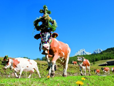 Holiday apartment "Stubenrauschhof" - Outdoor photo 13