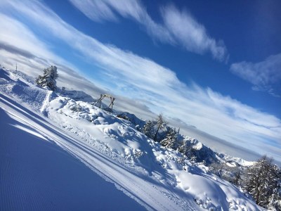 Holiday apartment "Stubenrauschhof" - Outdoor photo 19