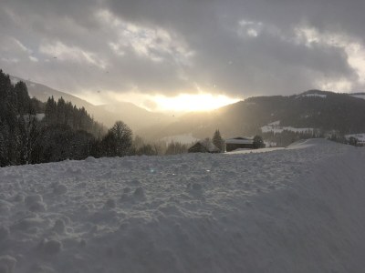 Holiday apartment "Stubenrauschhof" - Outdoor photo 21