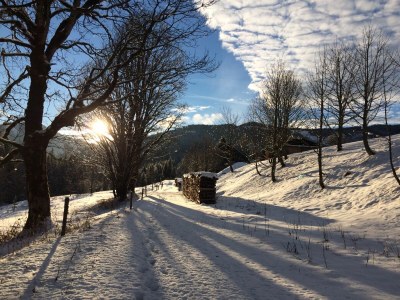Holiday apartment "Stubenrauschhof" - Outdoor photo 23