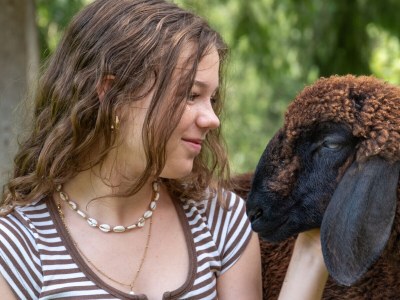 Holiday apartment "Stubenrauschhof" - Outdoor photo 27