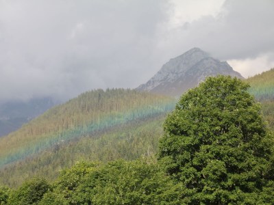 Holiday apartment "Stubenrauschhof" - Outdoor photo 28