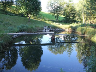 Holiday apartment "Stubenrauschhof" - Environment photo 36