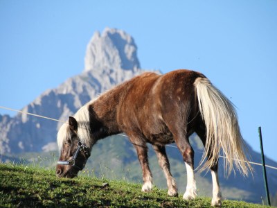 Holiday apartment "Stubenrauschhof" - Environment photo 37
