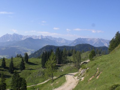 Holiday apartment Ferienwohnung Nadja - Environment photo 19