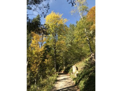 Holiday apartment Ferienwohnung Nadja - Environment photo 22