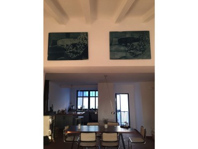 Holiday house Casa Olivo - Features photo 12