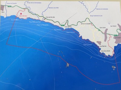 Holiday house Casa Olivo - Environment photo 38