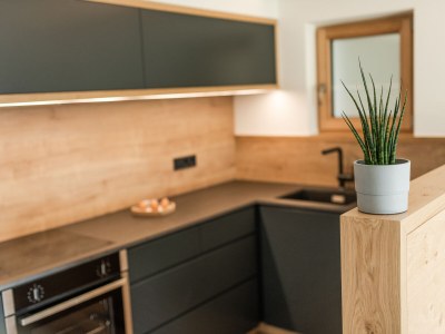 Holiday apartment Alpinence - Features photo 14