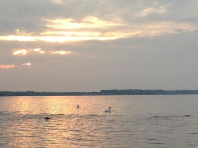 Holiday house Gruppenurlaub im Ferienhaus in Zierow für 12 Gäste - Environment photo 26