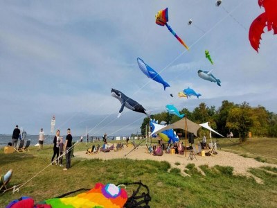 Holiday house Idyllisches Ferienhaus mit überdachter Terrasse - Environment photo 30