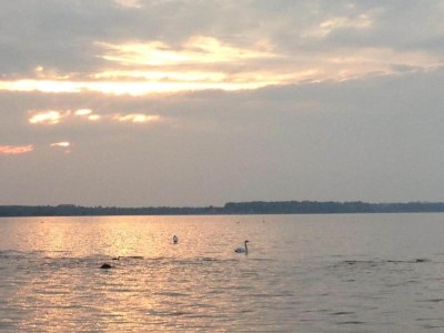 Holiday house Zierow Villa für 14 Gäste - Environment photo 27