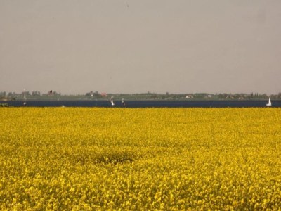 Holiday house Zierow Villa für 14 Gäste - Environment photo 28