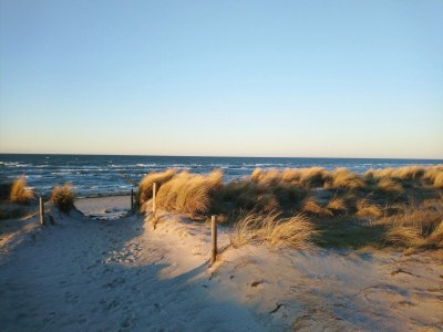 Holiday house Zierow Villa für 14 Gäste - Outdoor photo 32