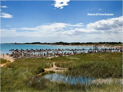 Holiday house at 20 m by the beach - località: Pantanagianni via del mare - Environment photo 31