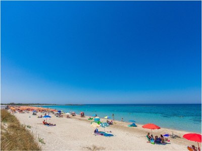 Villa Marianna- heated and fenced Pool - Environment photo 38