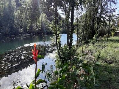 Villa villa with private swimming pool - Environment photo 27