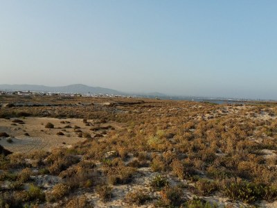 Holiday house Peaceful Algarve Getaway - Environment photo 28