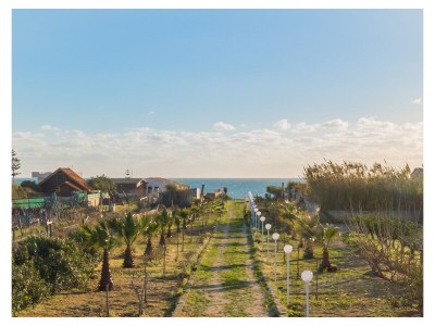 Holiday house Villa Mediterranea - Environment photo 25