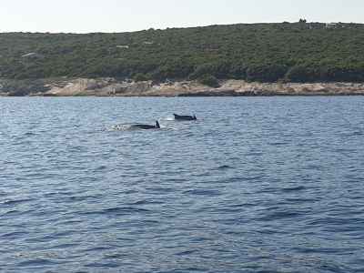 Holiday apartment Residenz Benni 5 - Environment photo 14