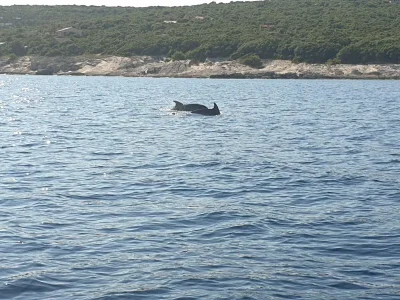 Holiday apartment Residenz Benni 5 - Environment photo 15