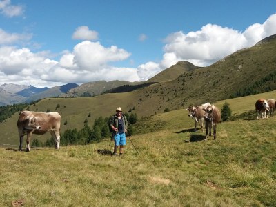 Holiday apartment Dolomites at Stacherhof - Outdoor photo 6
