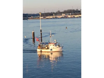 Holiday apartment Bogenschneider - Outdoor photo 11