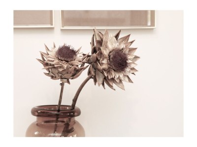 Holiday apartment Boschlust NO 5 - Features photo 12